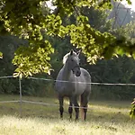 Chateau Le Souley Pensión 3*