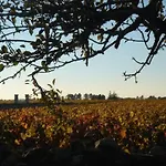 Chateau Le Souley Pensión