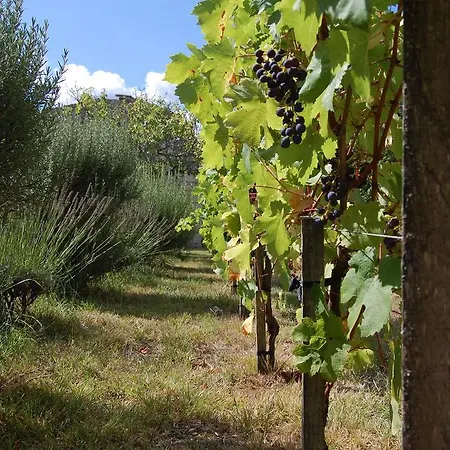 Château Le Souley 3*