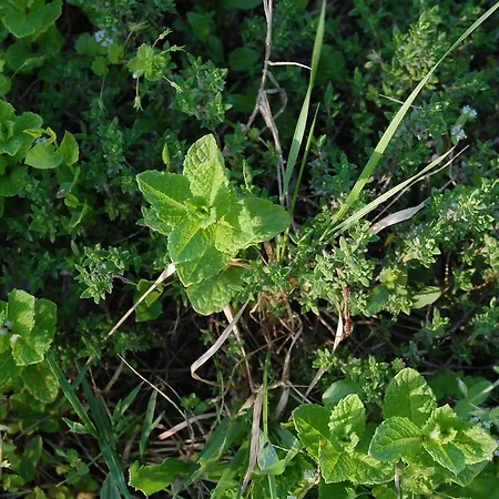 Gasthuis Chateau Le Souley
