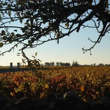Château Le Souley Maison d'hôtes